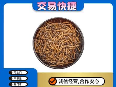 巴中通江礼品回收虫草.jpg